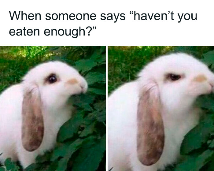 Wait, Goth Memes Are This Hilarious?!