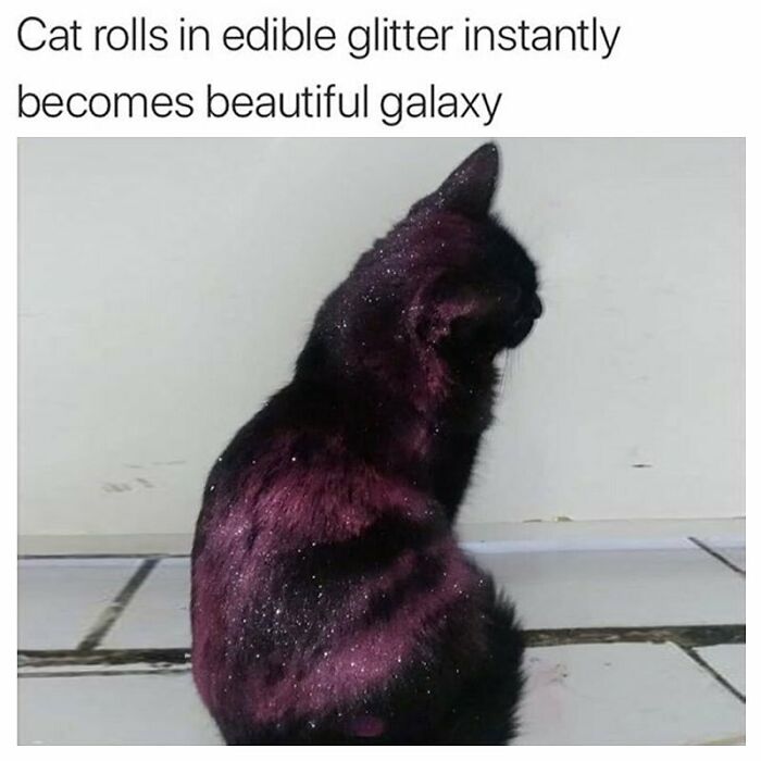 Wait, Goth Memes Are This Hilarious?!