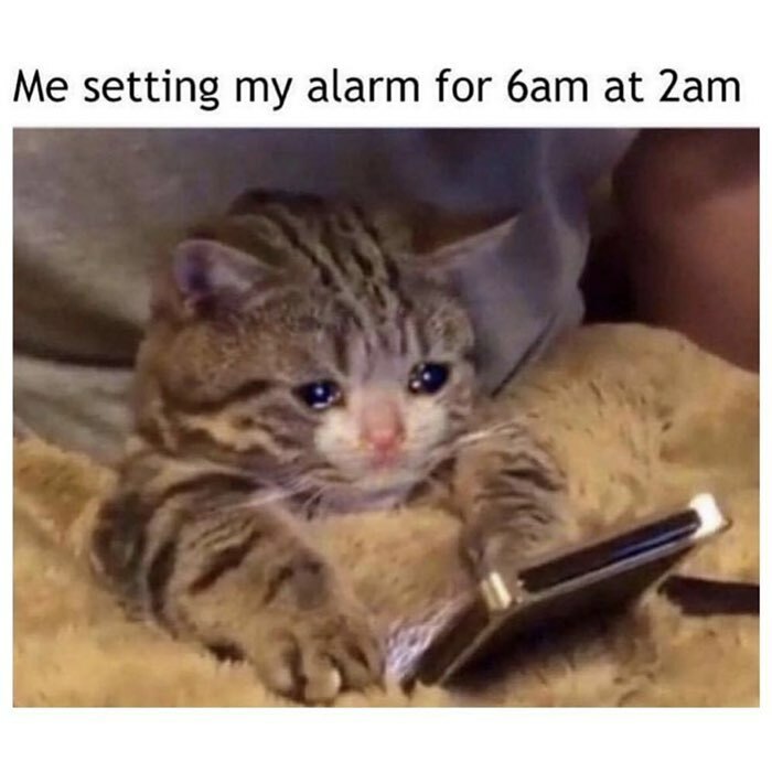 Wait, Goth Memes Are This Hilarious?!