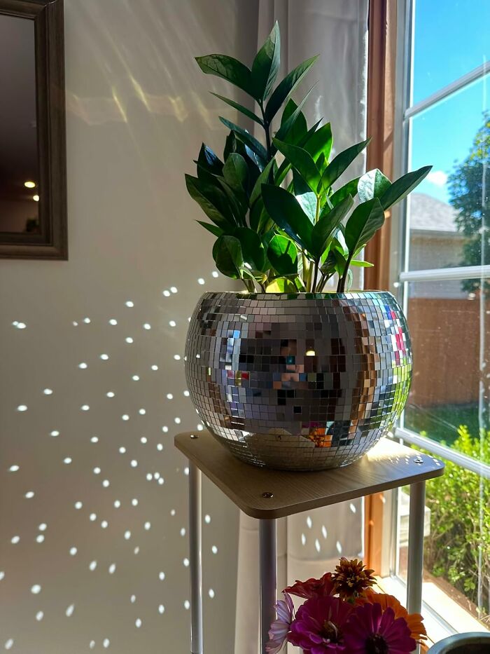 The Disco Ball Planter That’ll Make Their Succulent Way Cooler Than Their Room