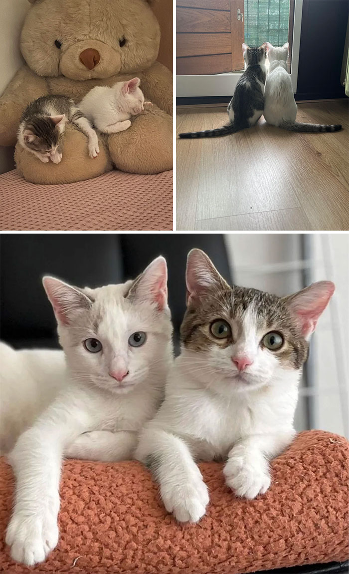 Sisterhood In Progress