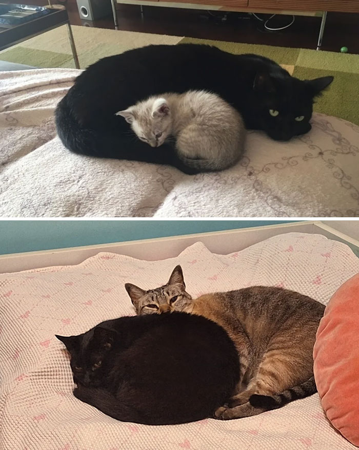 From 2016 To Now: Still Side By Side