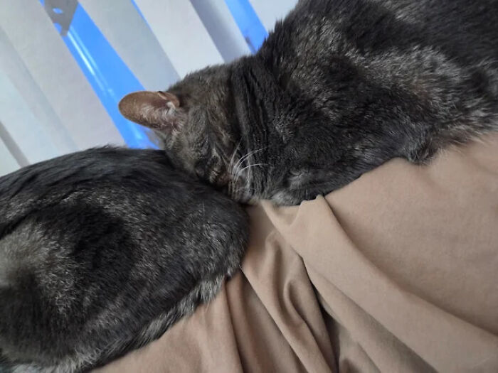 Nap Time With A Side Of Weird