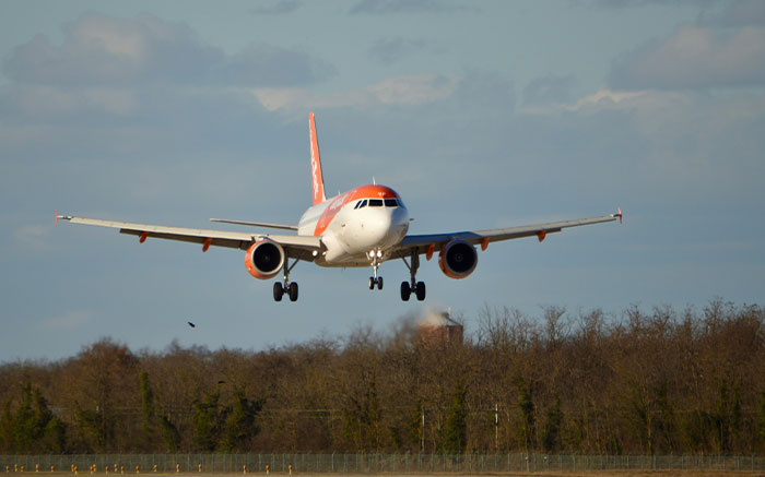 Wait, They Actually Called For A Doctor? These Stories Got Wild Fast