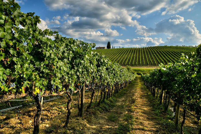 Wait, They Actually Ranked The "Smartest Kids" — And Their Stories Are Wild!