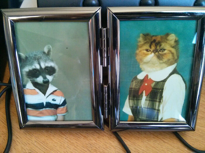 Coworker’s Last Day Means Handing Over Their Family Photos Like a Boss