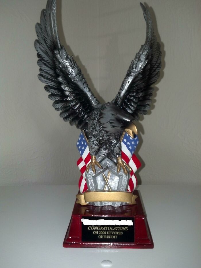 My Staff Surprised Me with a Gigantic Trophy on My Last Day — Totally Majestic!