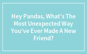 Wait, They Actually Made Friends Like That?!