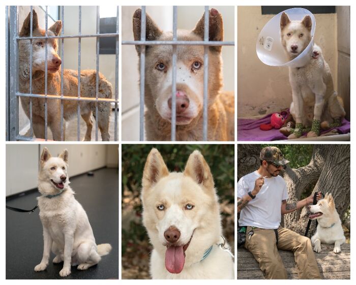 Photos By Wren Louise Sell