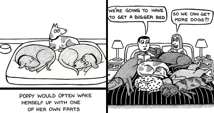 Wait, Dogs Just Do WHAT? 32 Comics That Nail Their Hilarious Weirdness