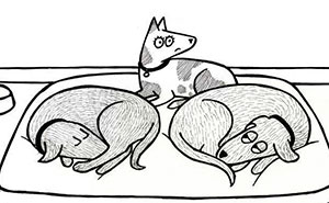 Wait, Dogs Just Do WHAT? 32 Comics That Nail Their Hilarious Weirdness