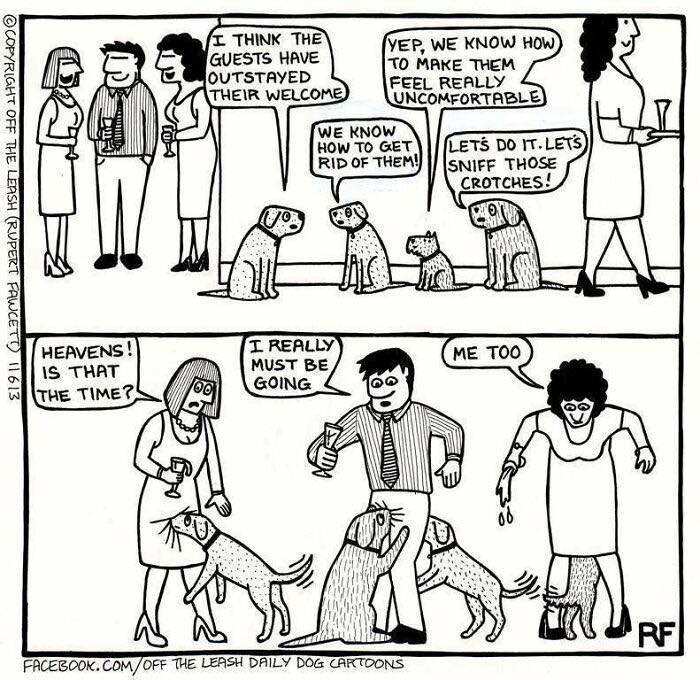 Wait, Dogs Just Do WHAT? 32 Comics That Nail Their Hilarious Weirdness