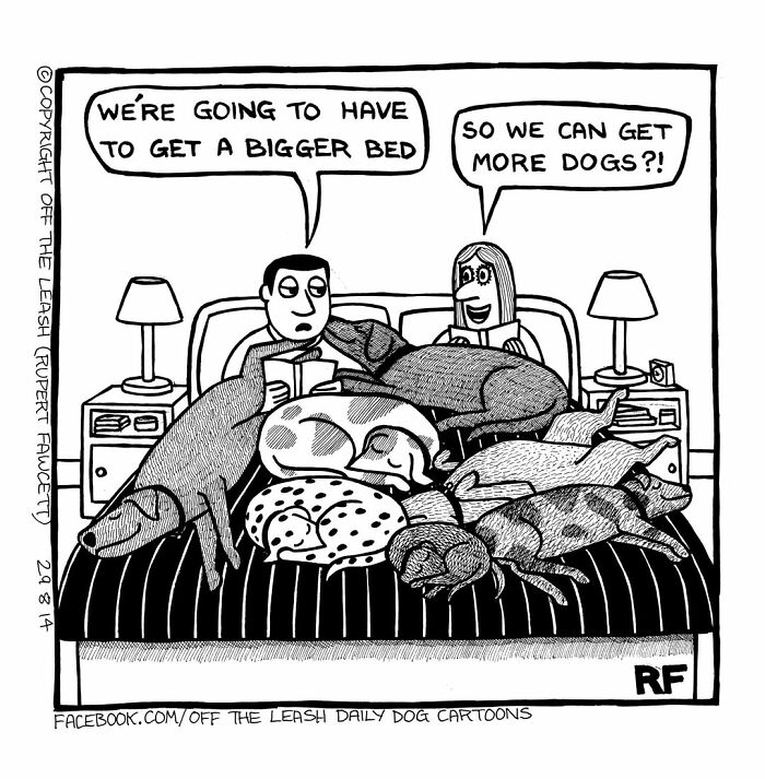 Wait, Dogs Just Do WHAT? 32 Comics That Nail Their Hilarious Weirdness