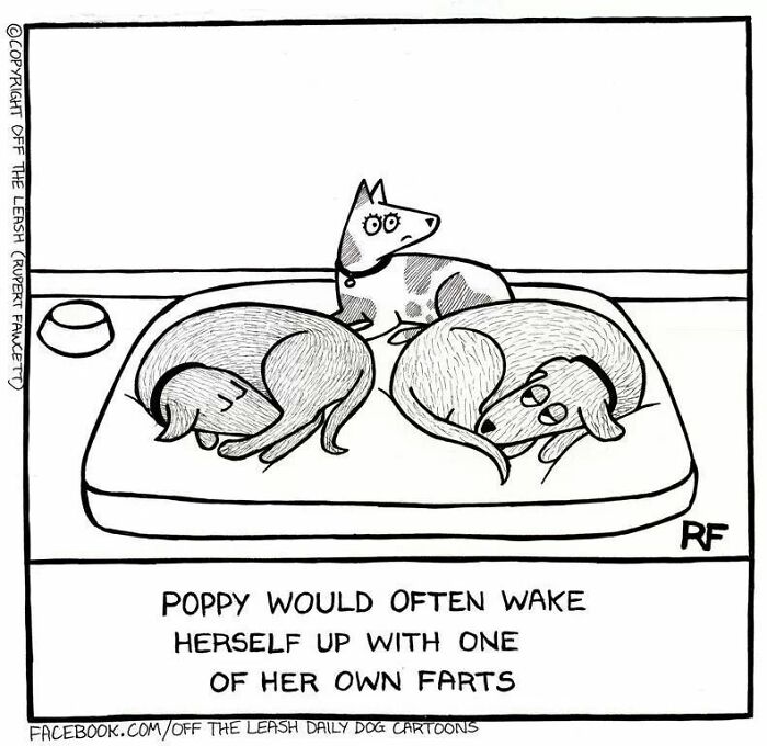 Wait, Dogs Just Do WHAT? 32 Comics That Nail Their Hilarious Weirdness