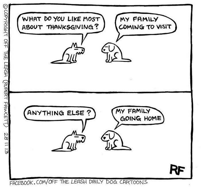 Wait, Dogs Just Do WHAT? 32 Comics That Nail Their Hilarious Weirdness
