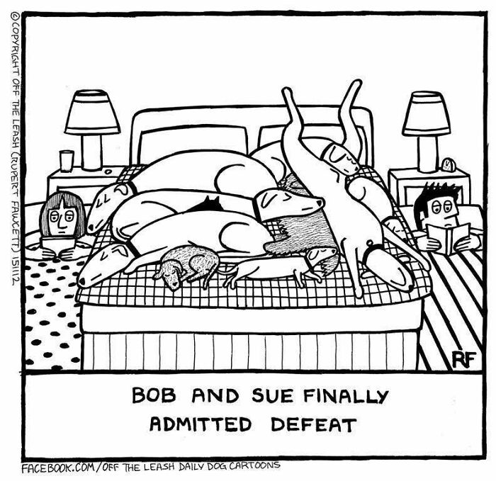 Wait, Dogs Just Do WHAT? 32 Comics That Nail Their Hilarious Weirdness