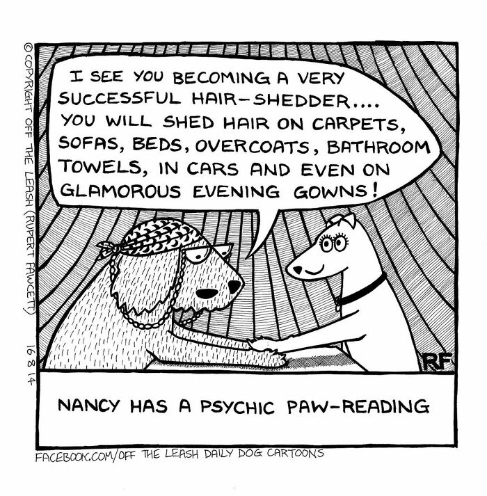 Wait, Dogs Just Do WHAT? 32 Comics That Nail Their Hilarious Weirdness