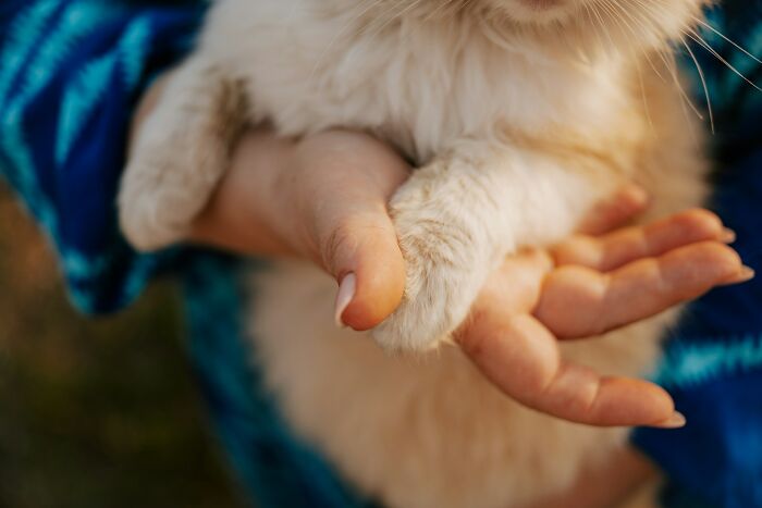 44 Instant Karma Moments That'll Totally Make Your Day