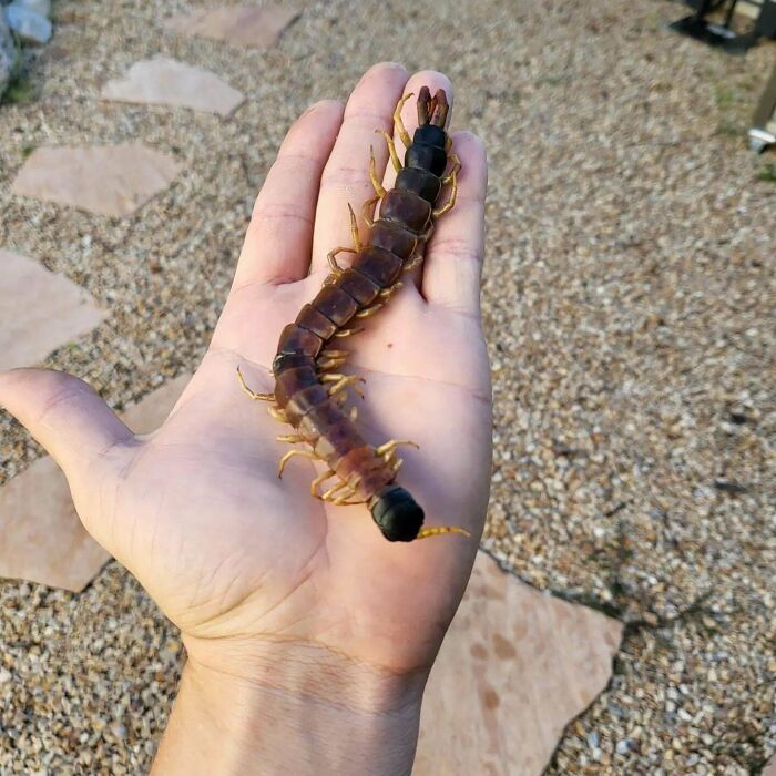 44 Instant Karma Moments That'll Totally Make Your Day