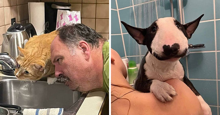 41 Animal Pics That Will Totally Brighten Your Day (Seriously)