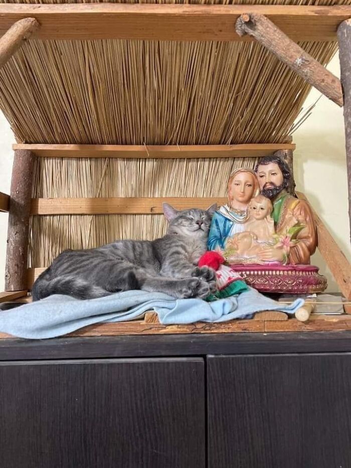 41 Animal Pics That Will Totally Brighten Your Day (Seriously)