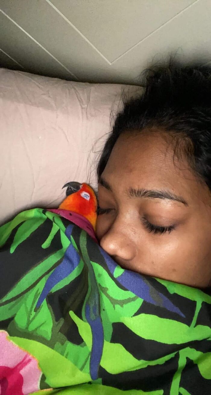 41 Animal Pics That Will Totally Brighten Your Day (Seriously)