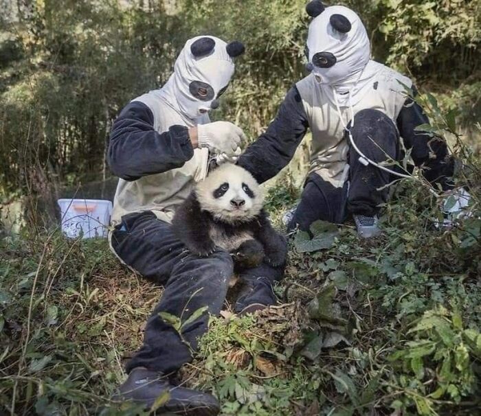 41 Animal Pics That Will Totally Brighten Your Day (Seriously)