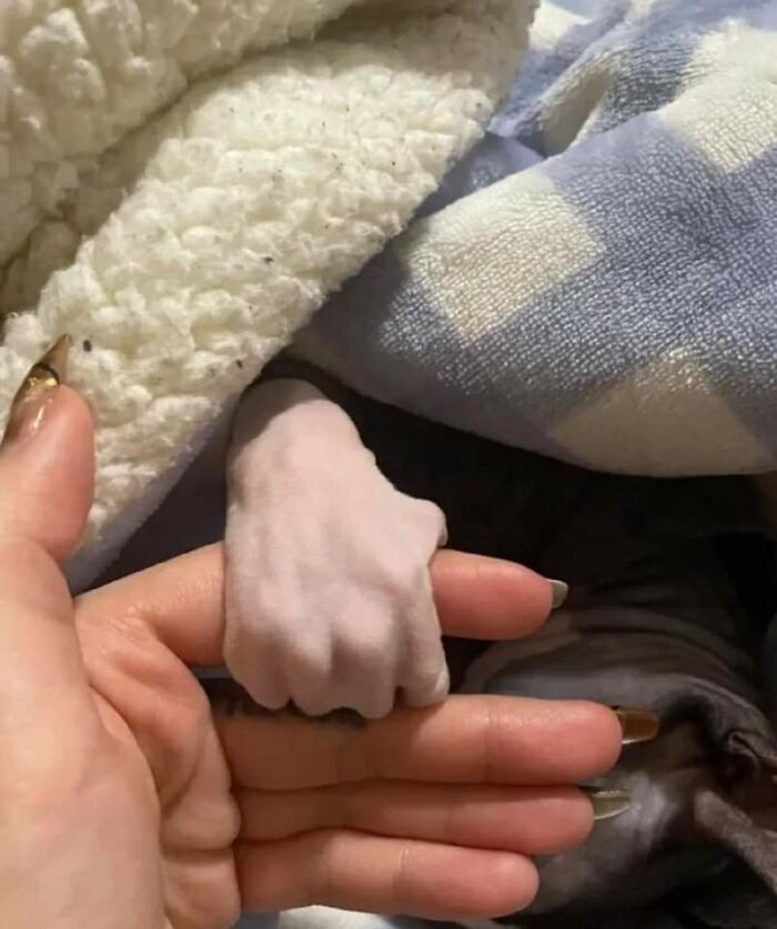 41 Animal Pics That Will Totally Brighten Your Day (Seriously)