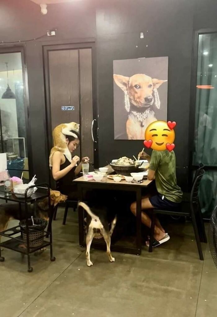 41 Animal Pics That Will Totally Brighten Your Day (Seriously)