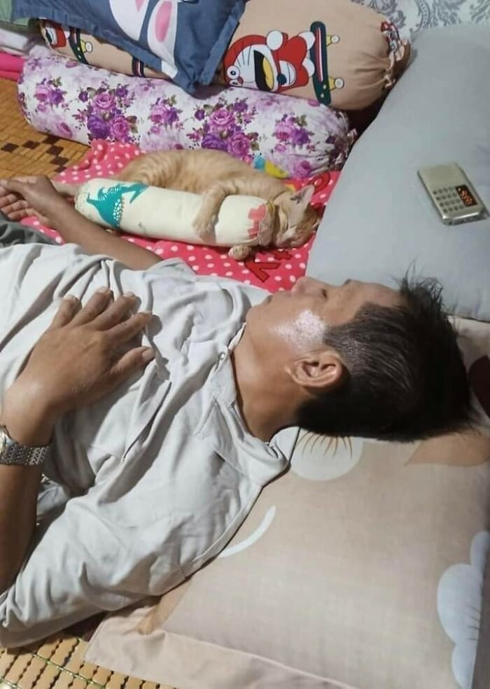 41 Animal Pics That Will Totally Brighten Your Day (Seriously)