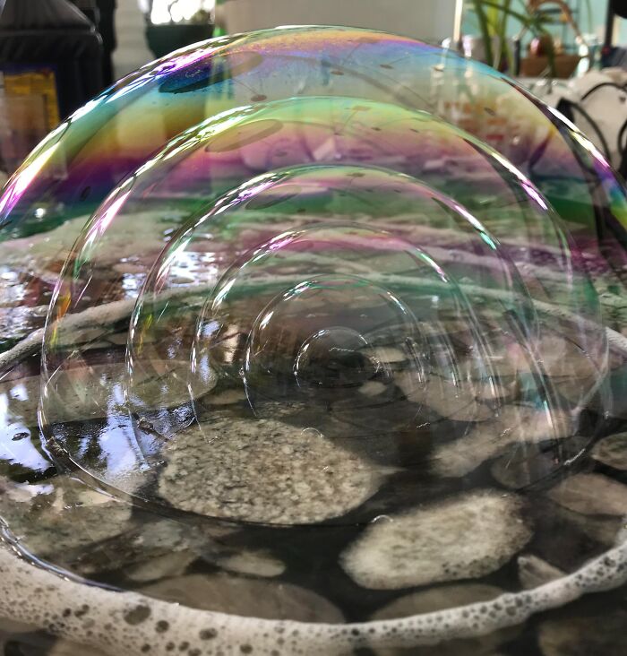 Why Blow One Bubble When You Can Blow Six INSIDE Each Other? Biology Just Got Cool