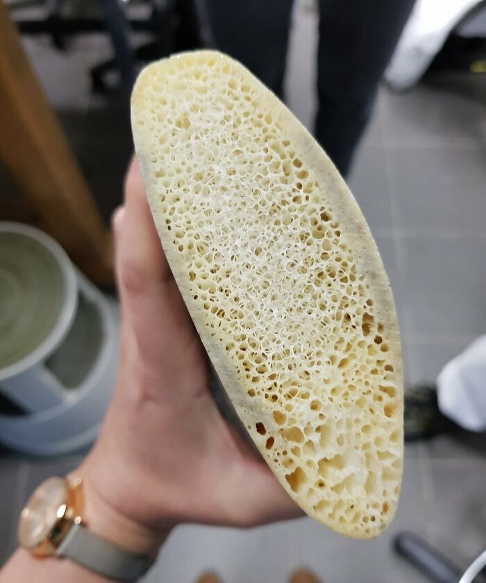 A Whale Rib Cross Section — Nature’s Own Bone Art!