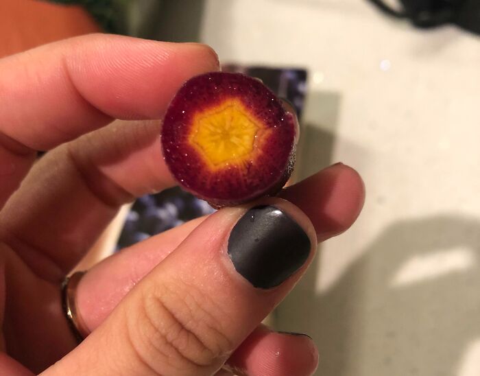 Purple Carrot Insides? Total Nature Art Show.