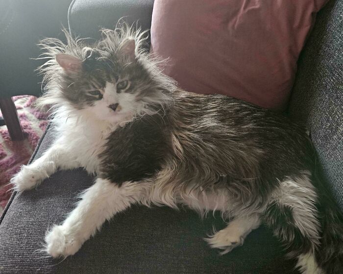 Mr. Bill’s Just Woke Up, And It Shows