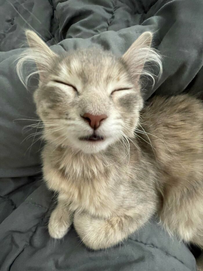 Completely Out Like a Light