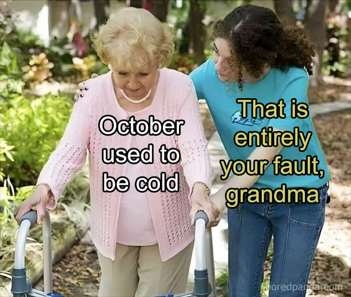 Wait, They Actually Made These Memes? Prepare to Get Confused and Laugh!