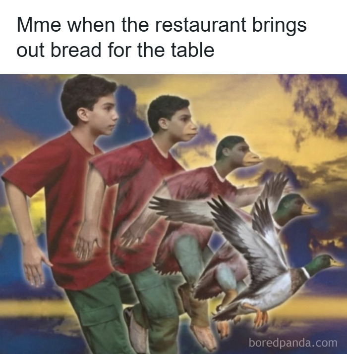 Wait, They Actually Made These Memes? Prepare to Get Confused and Laugh!