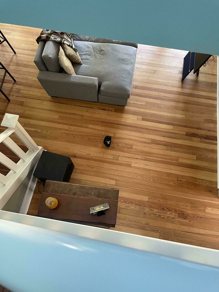 What I See Every Morning When I Walk Downstairs