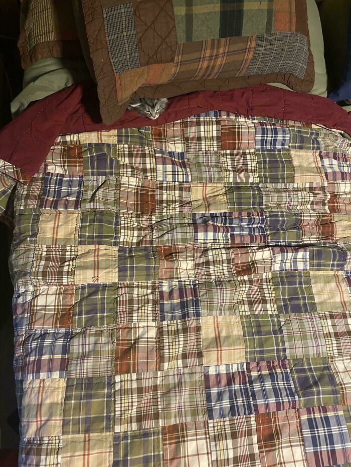 Looks Like I’m Sleeping on the Couch Tonight