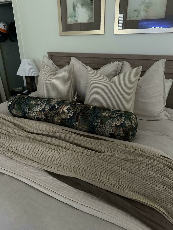 Find the Kitty! Bet You Can’t Spot Him Fast