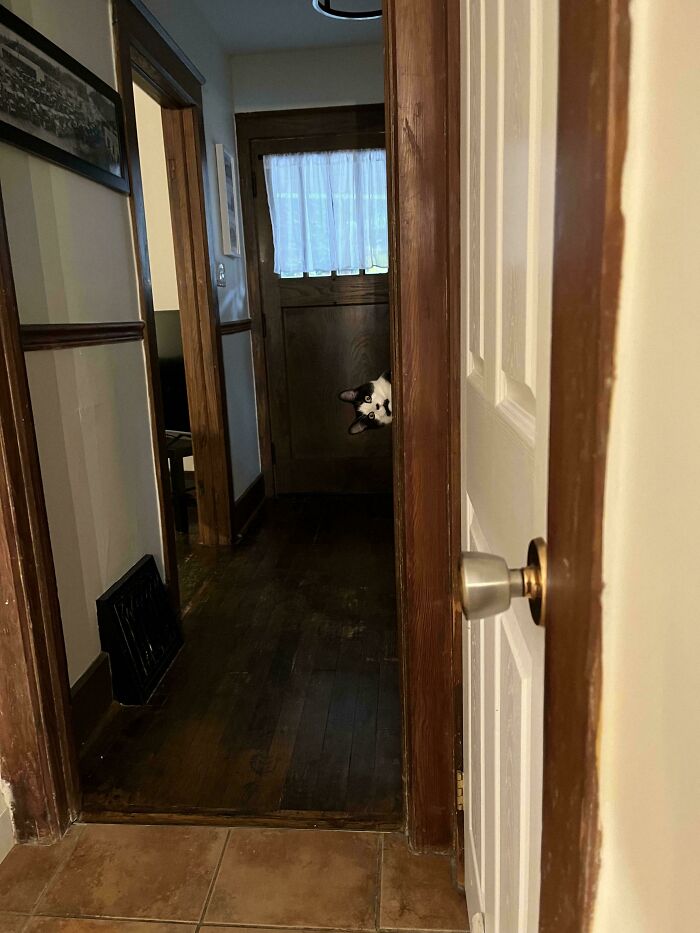 Bruce Says Hi! (And He’s Tiny But Mighty)