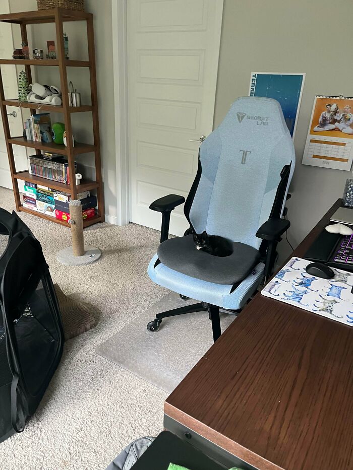 Tiny Gamer-Saurus in Training