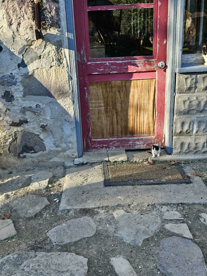 Just a Little Baby Making Big Waves in Your Heart