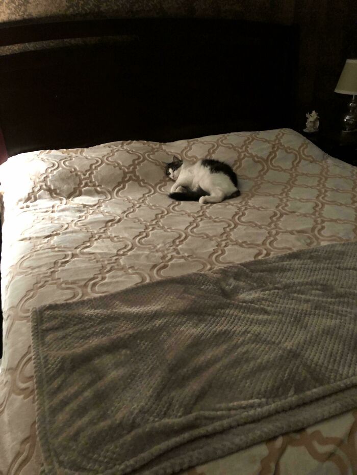 King Size Bed Just For Her... And She’s Loving It