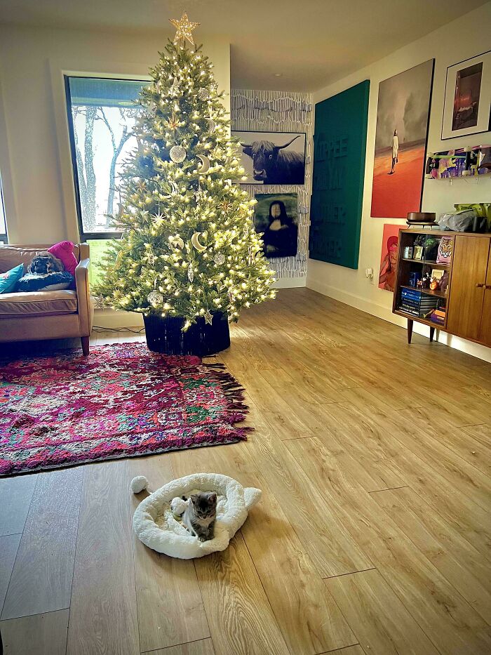 Gremlin Mode Activated: The Tiny Furry Menace