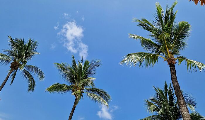 The Pettiest Exes Ever: Revenge Stories That Will Crack You Up