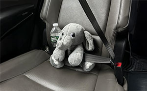 50 Internet Moments That Are So Wholesome, They Might Heal Your Soul