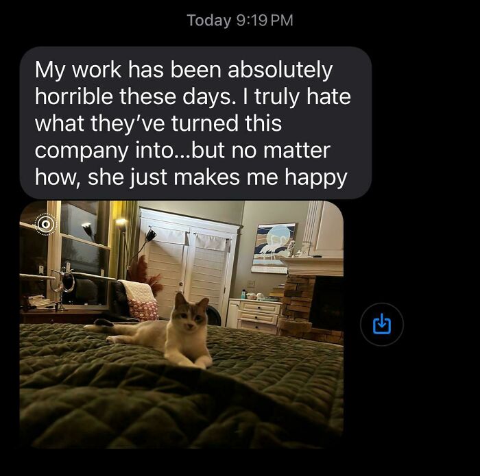My Dad’s Story About The Cat He Didn’t Want—Cue The Tears