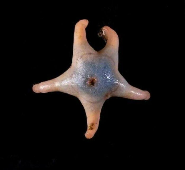 Whoa, Check Out These Wild Pics and Their Crazy Backstories