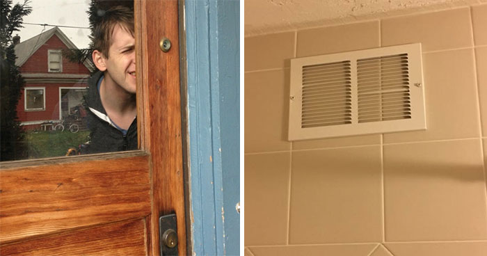 Let’s Peek at 33 Absolutely Pointless Things That Somehow Made Us Laugh